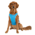 Chill Seeker Cooling Vest Water Retaining Shirt for Dogs Aqua Blue