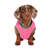 Chill Seeker Cooling Vest Water Retaining Shirt for Dogs Pink