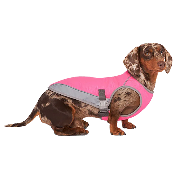 Chill Seeker Cooling Vest Water Retaining Shirt for Dogs Pink