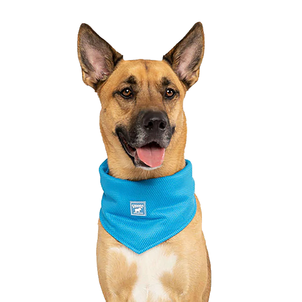 Cooling Bandana Water Retaining Accessory for Dogs Aqua Blue