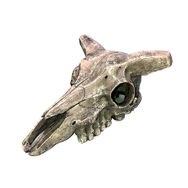 Deer Skull Resin Reptile Terrarium Decoration & Hideout