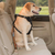 Direct To Seat Belt Tether for Dogs