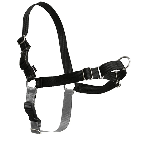 Easy Walk Front-Attached No-Pull Dog Harness Black & Silver