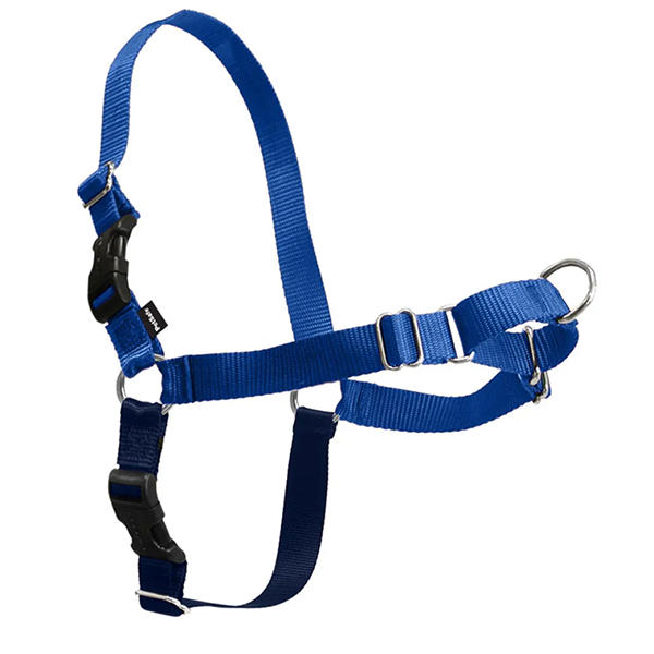 Easy Walk Front-Attached No-Pull Dog Harness Blue
