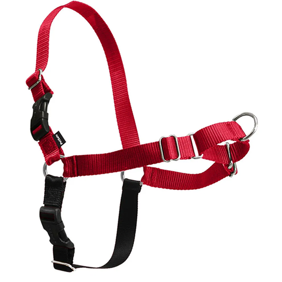 Easy Walk Front-Attached No-Pull Dog Harness Red & Black