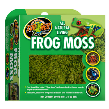 Background of fresh and green pillow moss, or frog moss on the