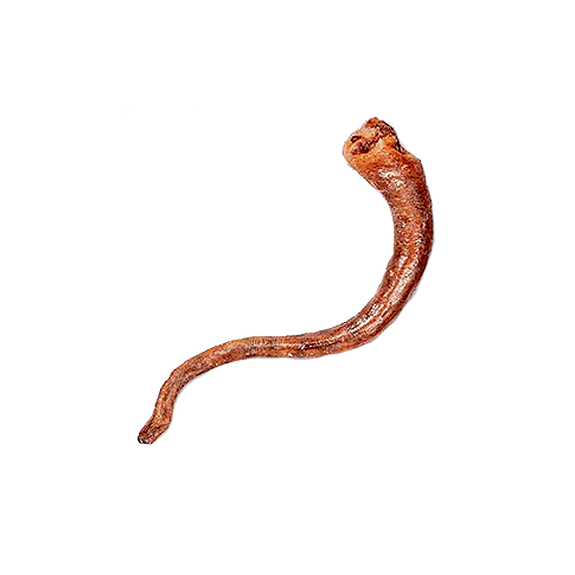 Natural Dehydrated Hog Tail Dog Chew
