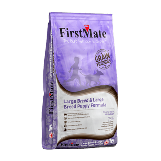 What is the best sales large breed puppy food