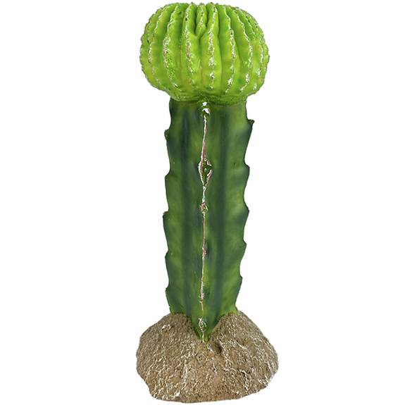 Desert Moon Cactus Resin Reptile Terrarium Decoration