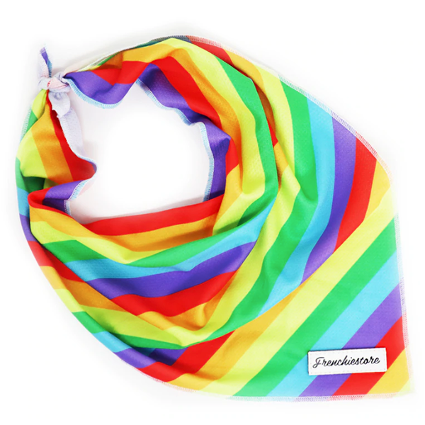 Cooling Bandana for Dogs Pride Flag