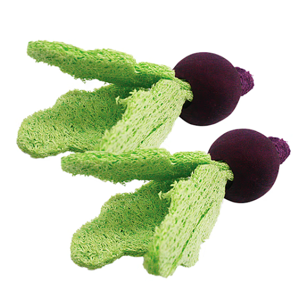 Nibbles Loofah Daikon Radish Small Animal Chew Toy