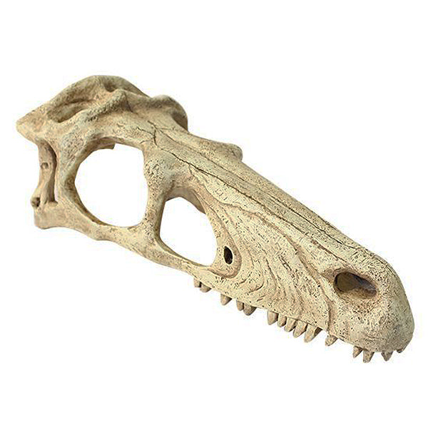 Raptor Skull Resin Reptile Terrarium Decoration & Hideout