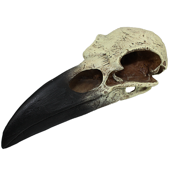 Raven Skull Resin Reptile Terrarium Decoration & Hideout