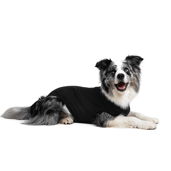 Wearable Full Body Recovery Suit for Dogs Black