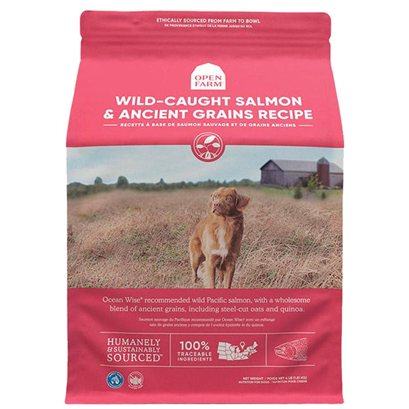 Wild-Caught Salmon & Ancient Grains Dry Dog Food