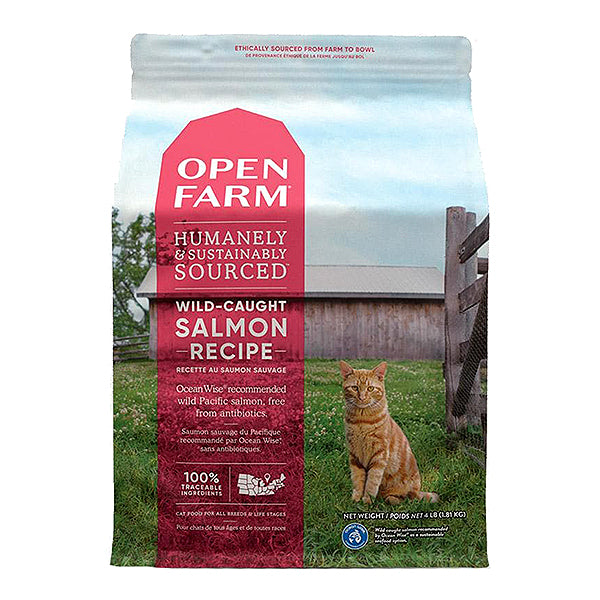 Wild-Caught Salmon Recipe Grain-Free Dry Cat Food