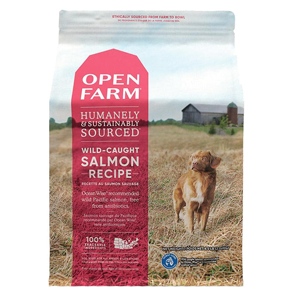 Wild-Caught Salmon Recipe Grain-Free Dry Dog Food