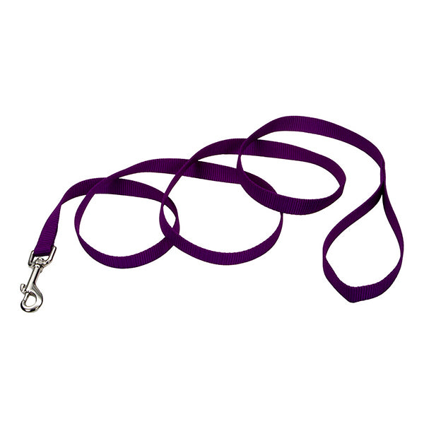 Single-Ply Nylon Leash Purple
