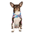 Pick Me Poncho Lightweight Water Resistant Hooded Dog Poncho Tie Dye