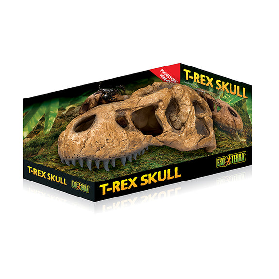 T-Rex Skull Reptile Hideout Habitat Addition
