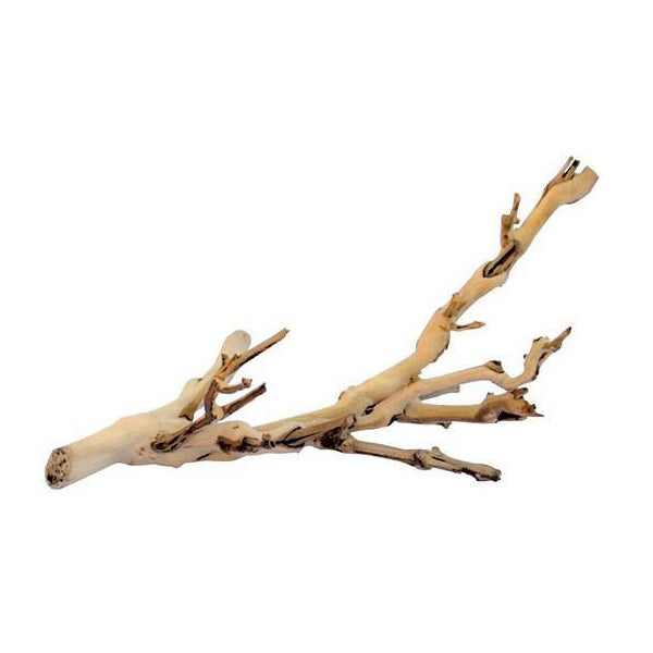 Natural Wood Forest Branch Reptile Habitat Decor